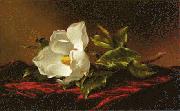 Martin Johnson Heade Magnolia f China oil painting reproduction